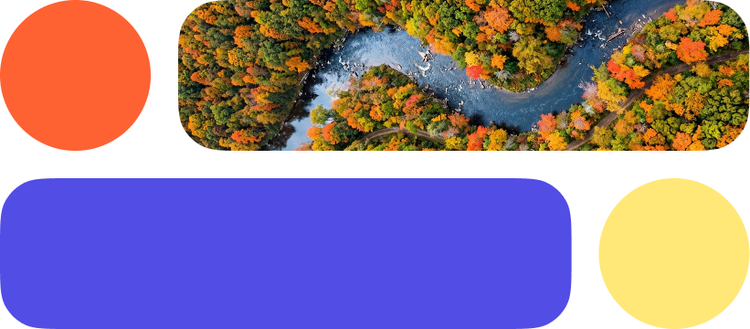 Aerial river winding through a forest with Pepperplane brand shapes
